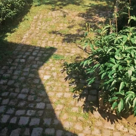 Appartement Poirot *